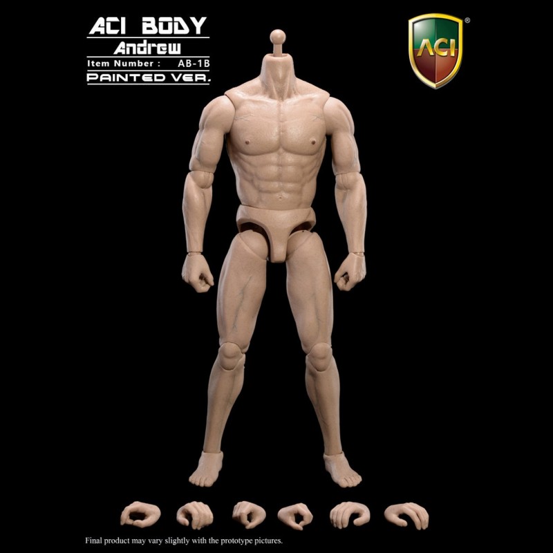 Andrew (Painted) - Medium Built Body - 1/6 Scale Body