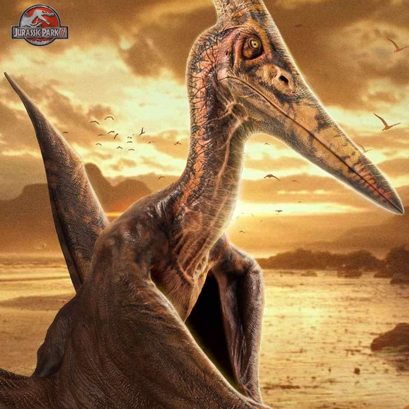 Pteranodon - Jurassic Park III - 1/5 Scale Statue