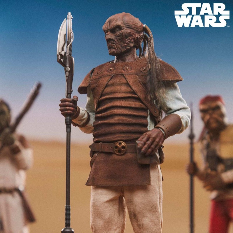 Pagetti Rook - Star Wars Episode VI - 1/6 Scale Figur