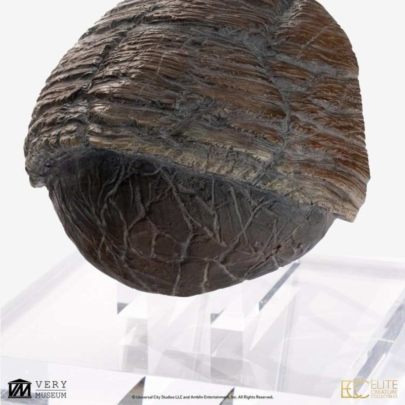 Triceratops Toenail - Jurassic Park - Prop Reproduction