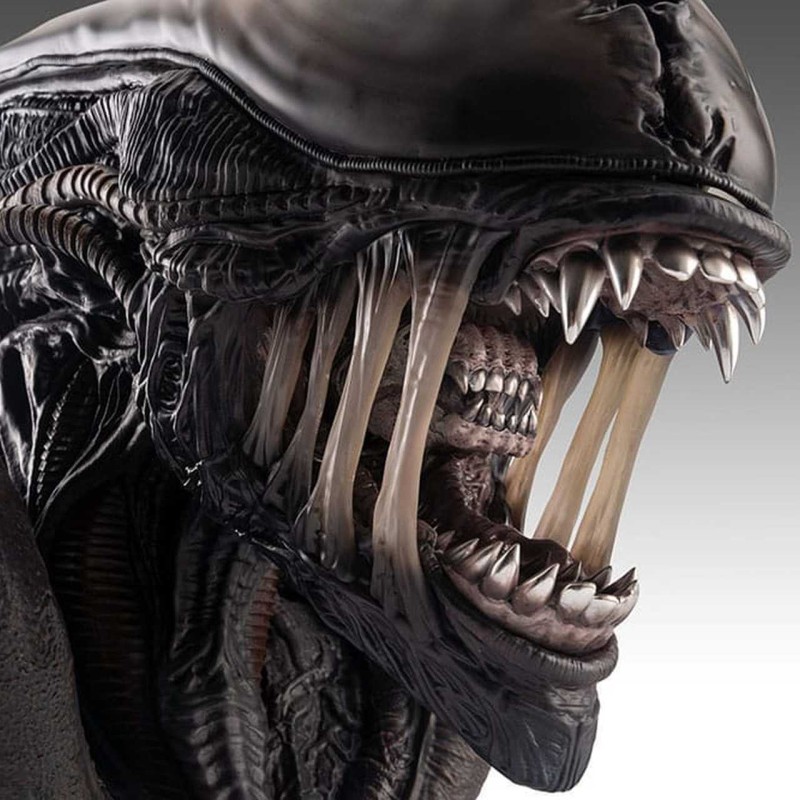 Xenomorph - Alien Romulus - Life-Size Bust