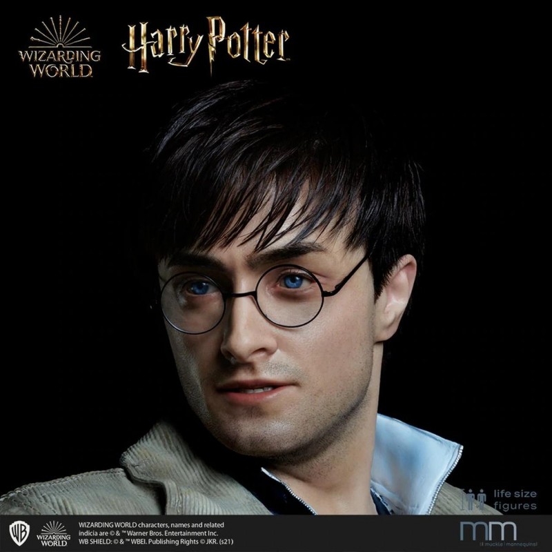 Harry Potter mit Silikon Kopf - Harry Potter - Life-Size Statue