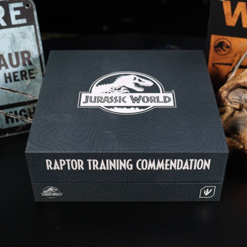 Pack Raptor Training Commendation - Jurassic World - 3er Pin Set