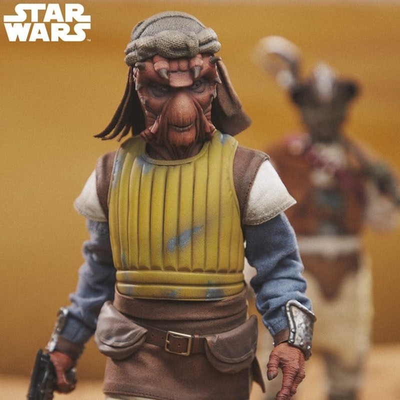 Vizam - Star Wars - 1/6 Scale Figur