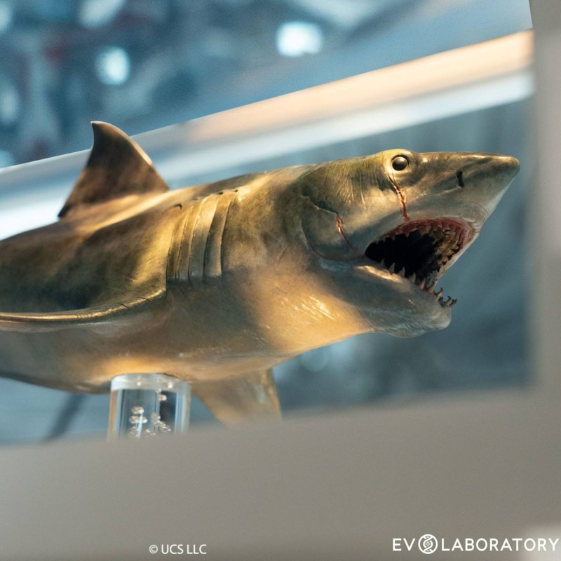 Der weisse Hai Bronze - Jaws - 1/18 Scale Maquette