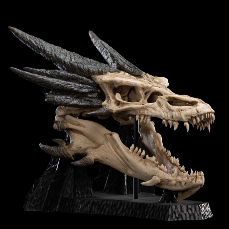 Skull of Smaug - Herr der Ringe - Replika 22 cm