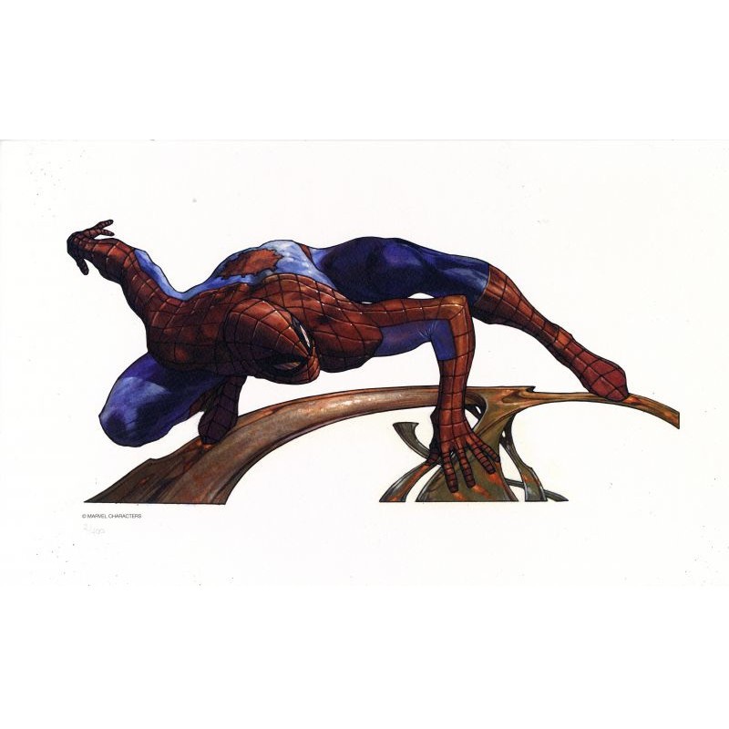 Spiderman by Simone Bianchi - Marvel Comics - Kunstdruck 43 x 25 cm