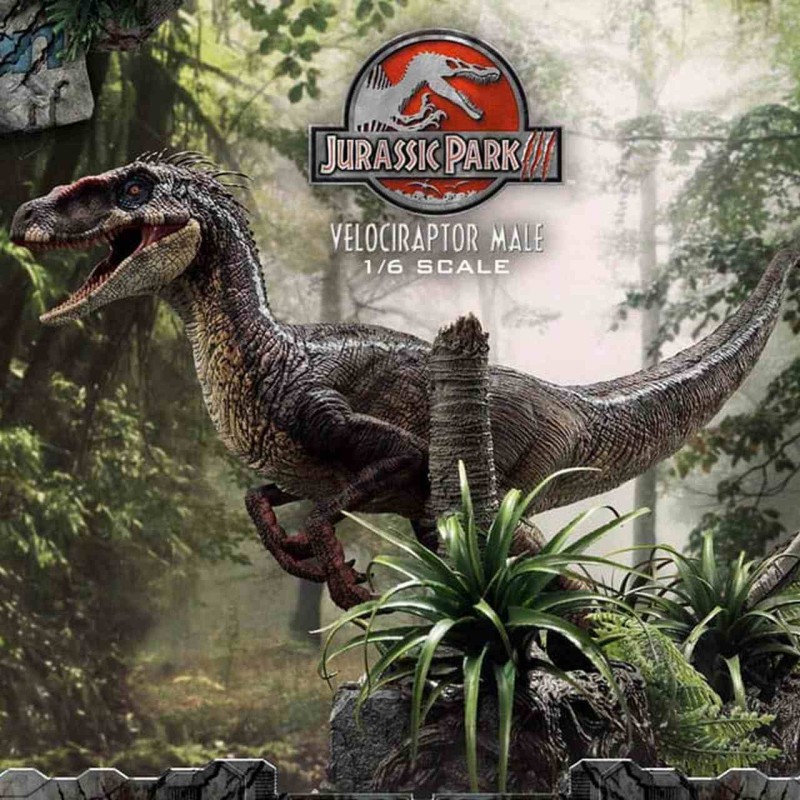 Male Velociraptor - Jurassic Park III - 1/6 Scale Polystone Statue