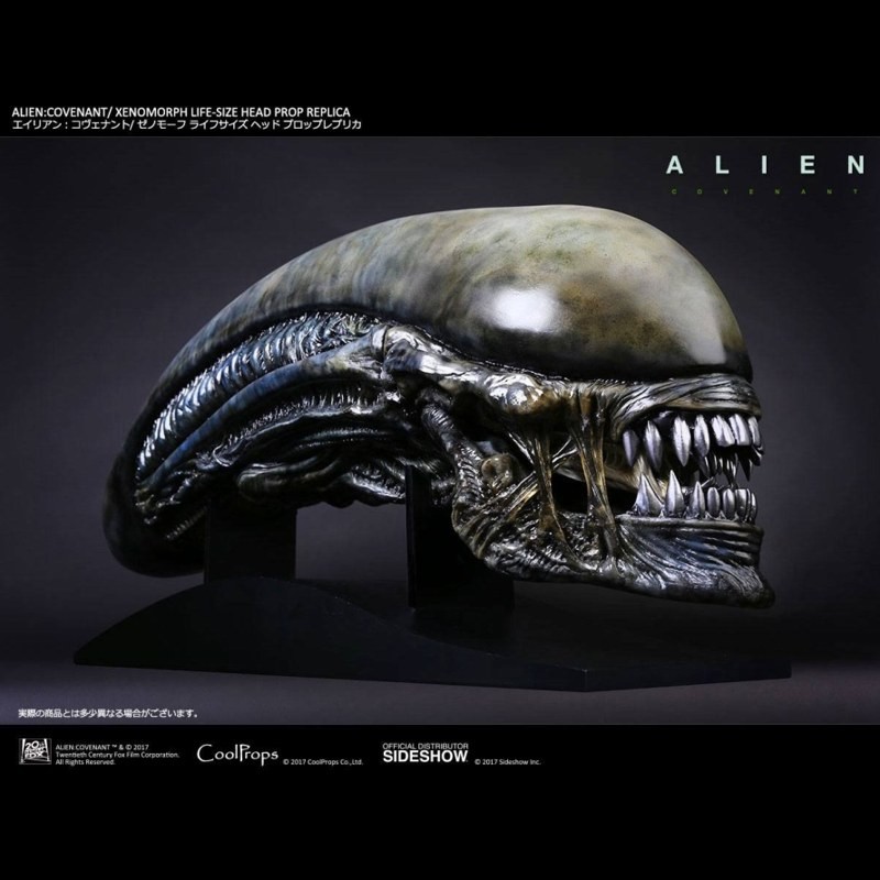 Xenomorph - Alien: Covenant - Life-Size Head