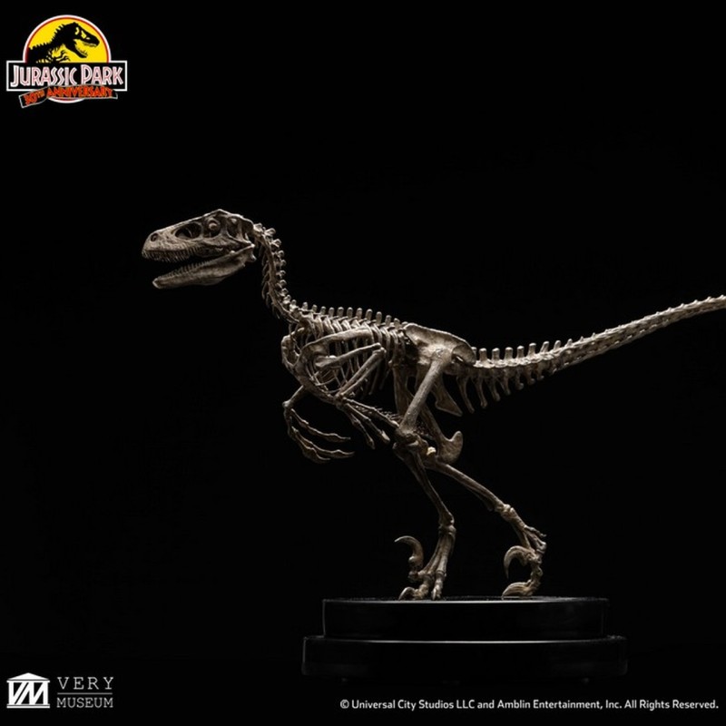 Velociraptor Skeleton - Jurassic Park - 1/8 Scale Statue